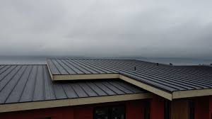 Best Metal Roofing Installation  in Cheval, FL